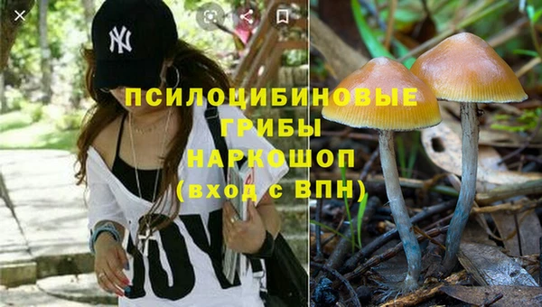 МДПВ Алексеевка