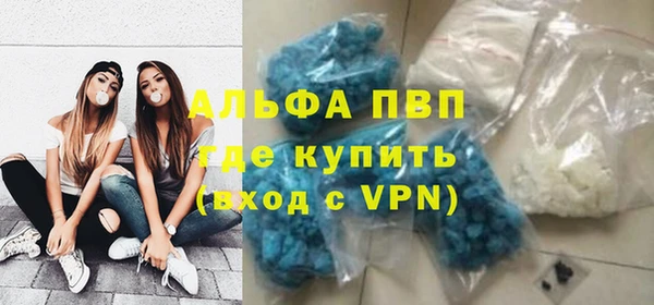 apvp Алзамай
