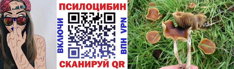 Псилоцибиновые грибы GOLDEN TEACHER Канаш